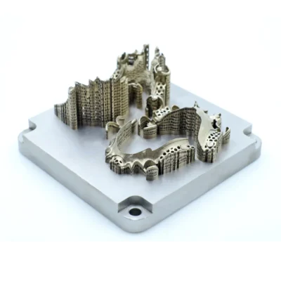 3D Printed part om metal build plate from Cobalt Alloy Powder Additive Plus