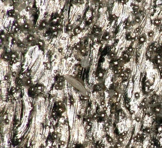 As-built 316L stainless steel surface before mass finishing, Ra 9.5 microns