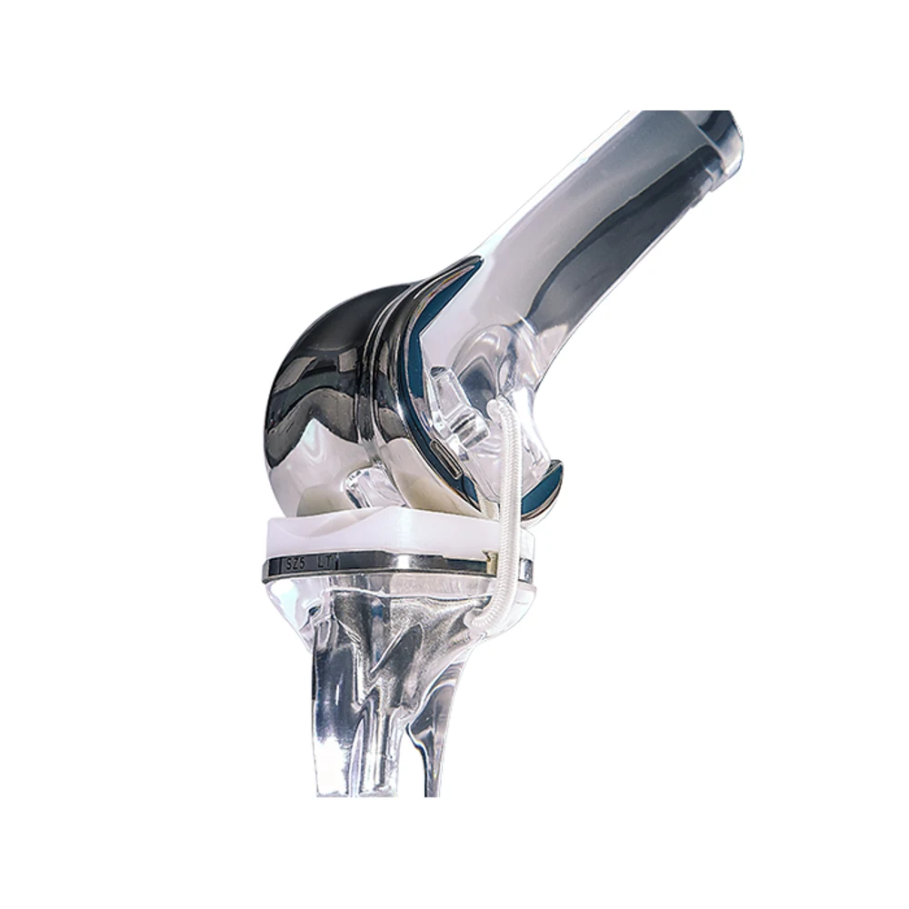 Orthopedic knee implant