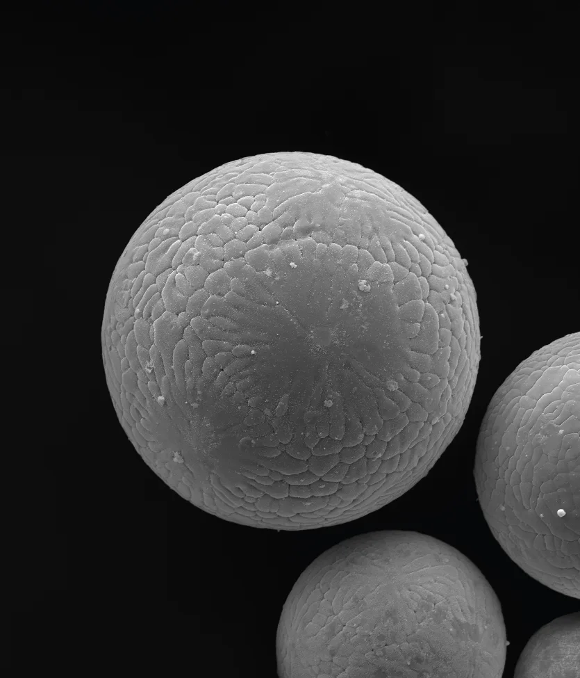 SEM image of a spherical metal powder particle made on an ATO atomizer at FZU
