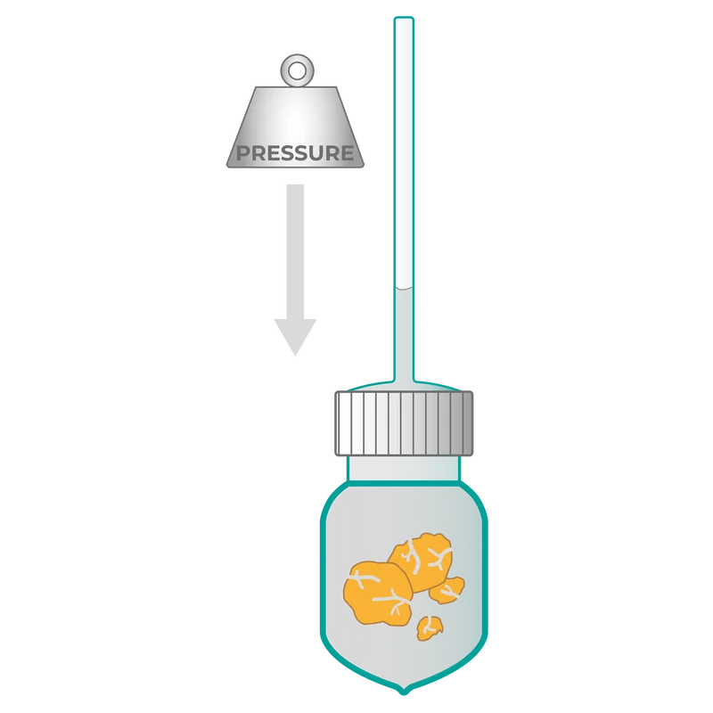 BELPORE dilatometer